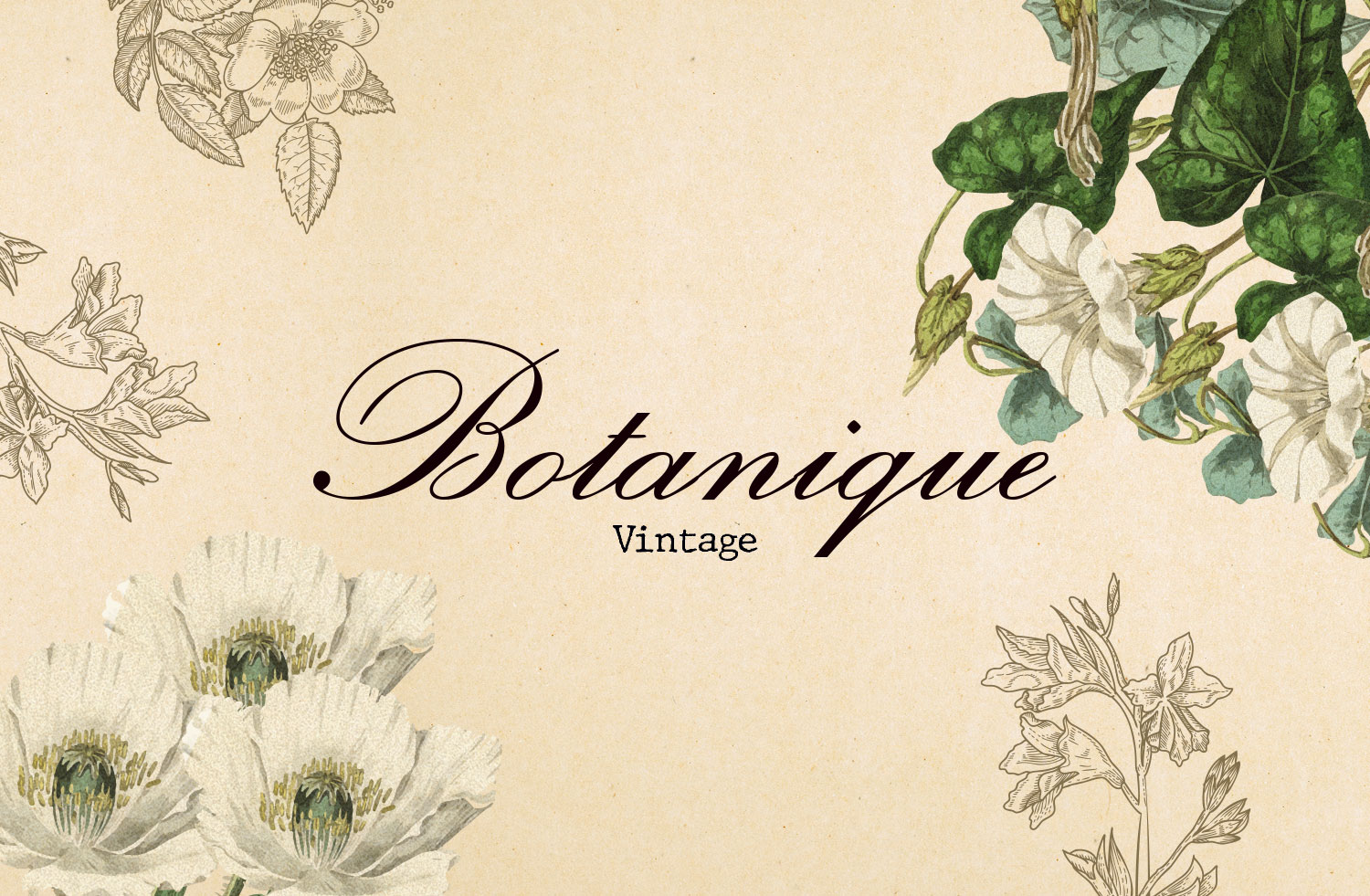botanique instagram template collection storybeat
